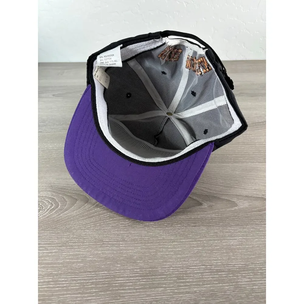 Vintage Stone Mountain Georgia Snapback Hat‎ Purple Ferris Wheel Embroidered USA